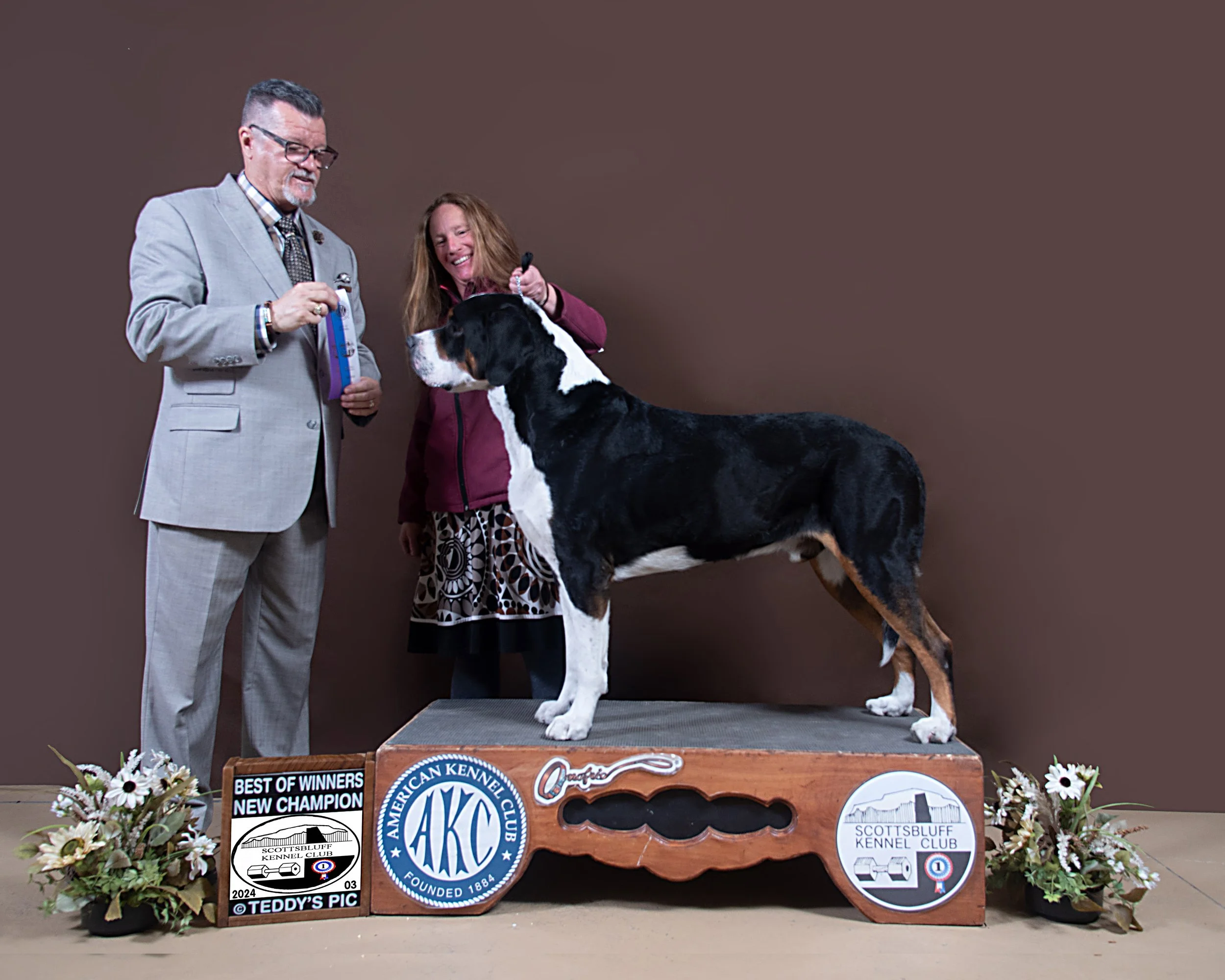 Cash — Pine Grove Greater Swiss Mountain Dogs